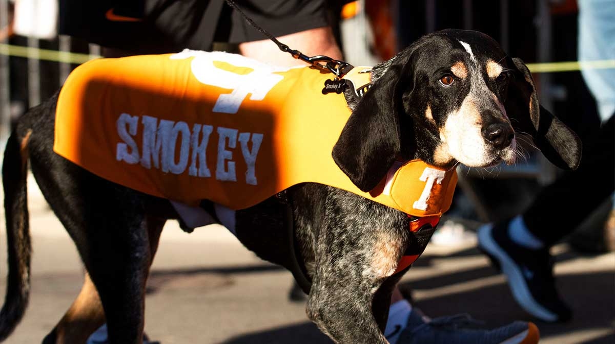 Tennessee football announces apparel change for first time in a decade