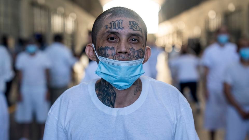 The US now considers these cartels and gangs terrorist groups. Here's what to know about them