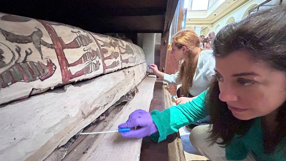 The scent of a mummy: Research discovers ancient Egyptian remains smell nice