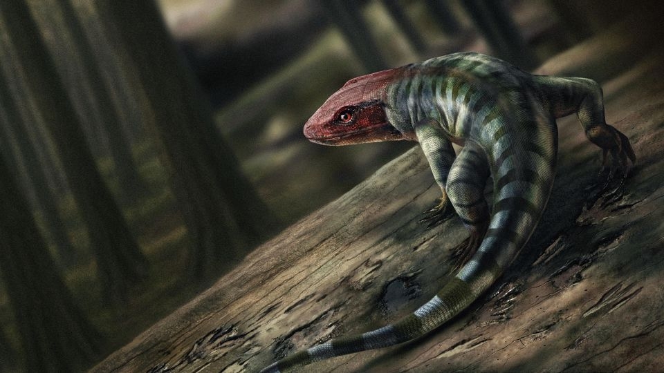 Tiny clawed tracks left in ancient mud are the oldest reptile footprints