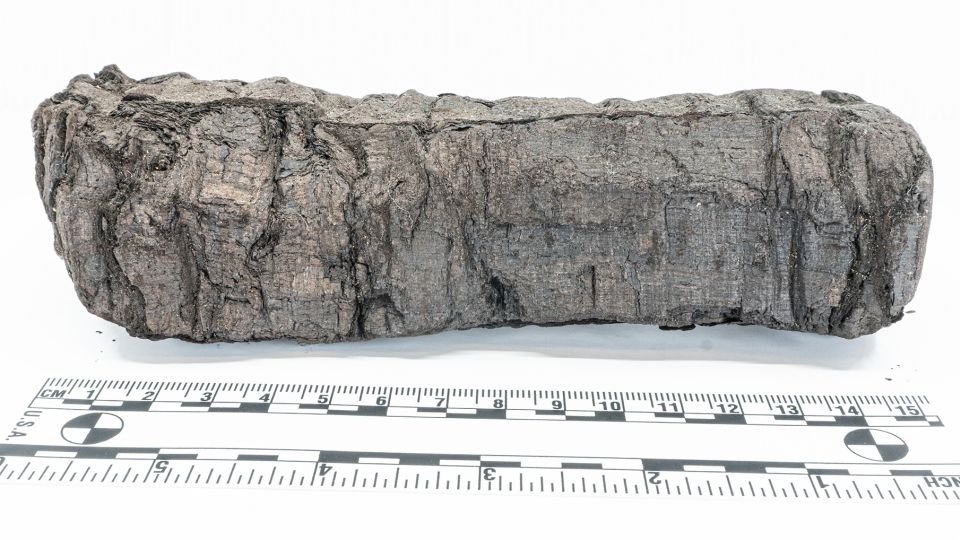 ‘Disgust' among first words decoded in 2,000-year-old charred scroll