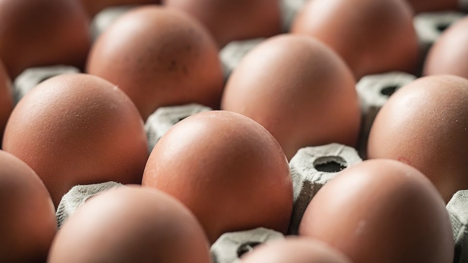 Salmonella outbreak linked to eggs sickens dozens of people across 7 states