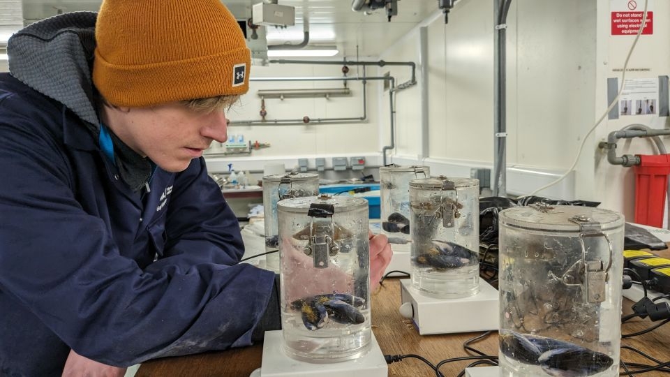 UK project trials carbon capture at sea to help tackle climate change