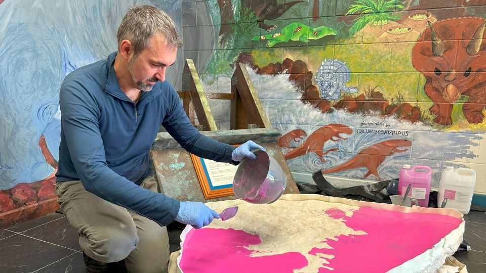 Over 60 Early Jurassic dinosaur footprints discovered on a rock that's been at an Australian school for two decades