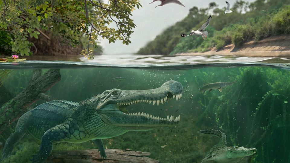 Scientists discover how a ‘terror crocodile' became a dinosaur-eating giant