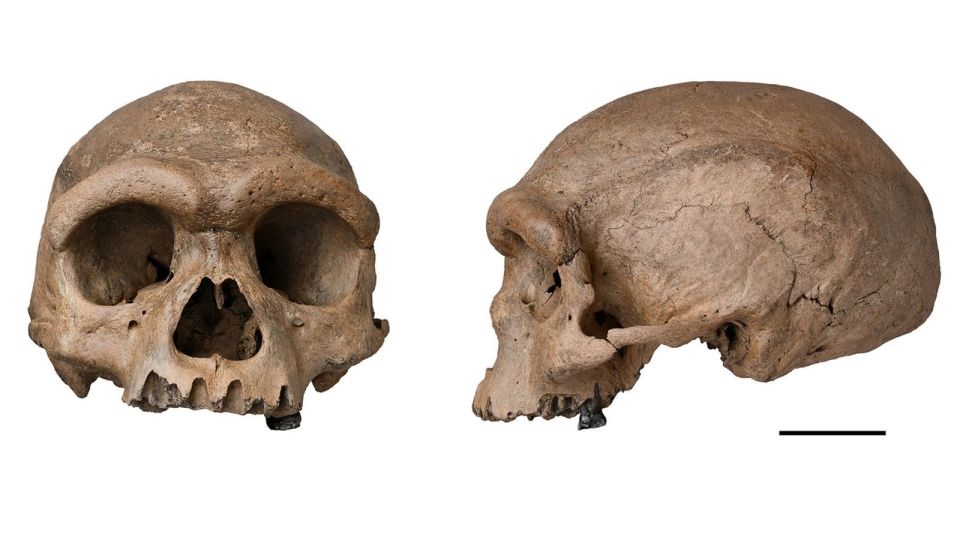 Science recap: This week's discoveries include new clues from the fossil skull of a mysterious human species