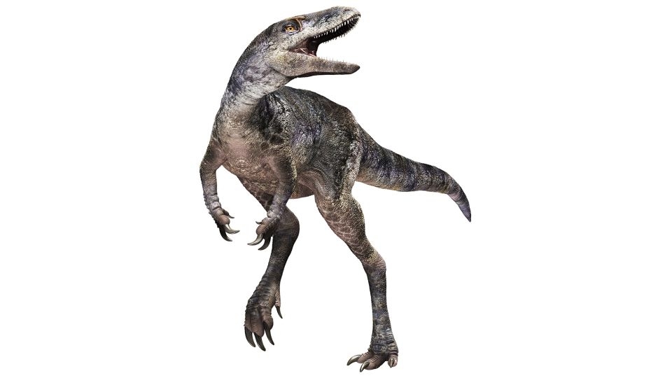 A ‘dragon prince' dinosaur is redrawing the tyrannosaur family tree