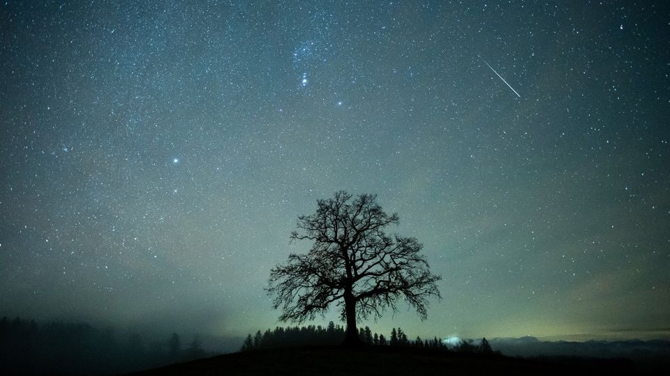 The Eta Aquariid meteor shower is about to peak. Here's how to see it