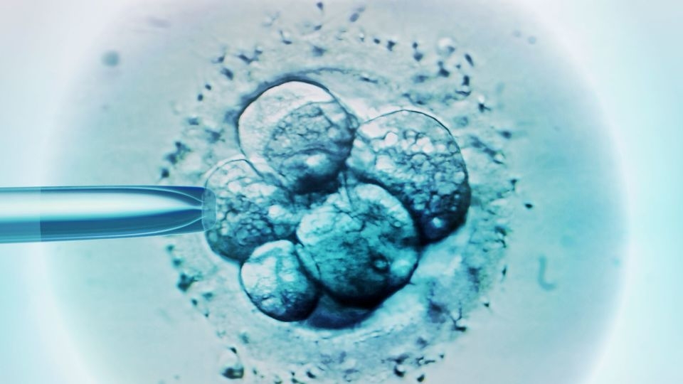 Woman gives birth to another couple's child after IVF mix-up