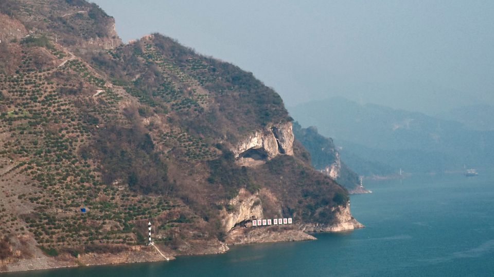 China's ‘Puppy Mountain' goes viral