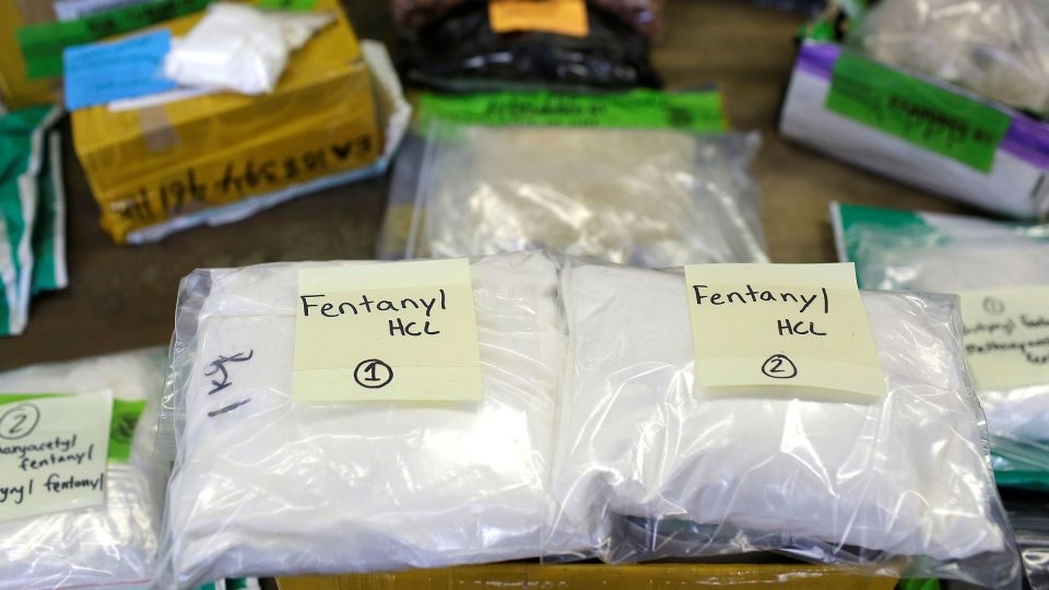 India among top suppliers of illicit fentanyl precursors, US intelligence report says