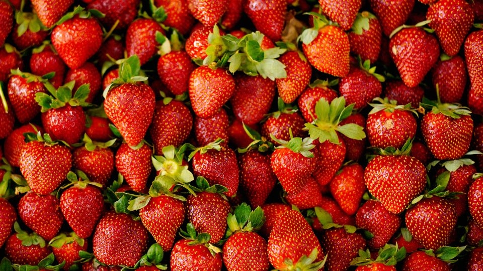 New to the ‘Dirty Dozen' list: Blackberries and potatoes