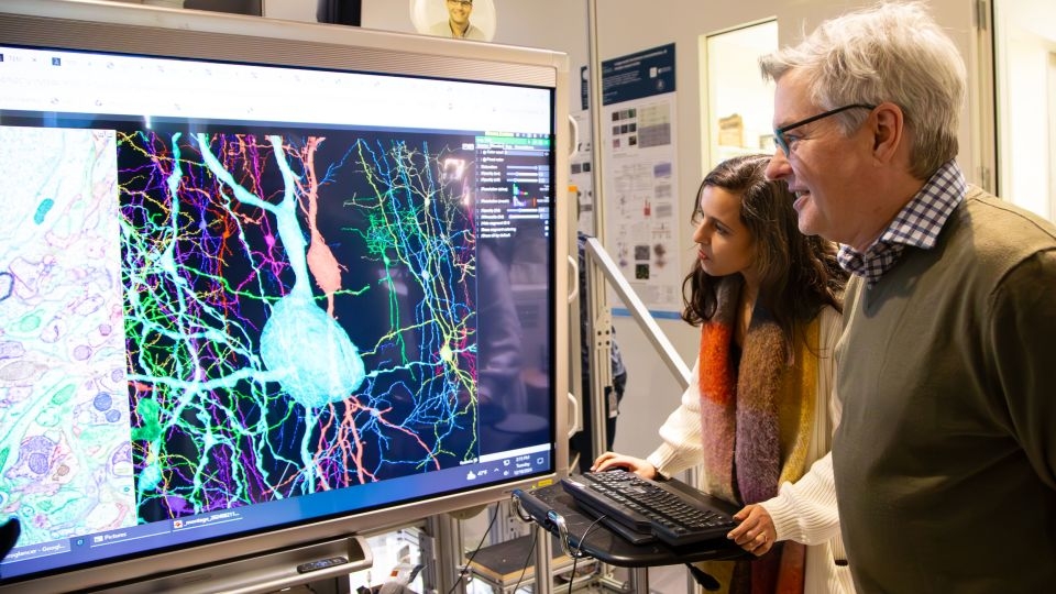 Scientists reveal advance in brain research once thought impossible