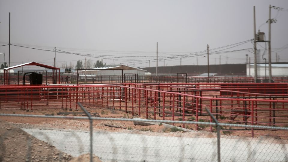 US halts live cattle imports from Mexico to quell screwworm spread