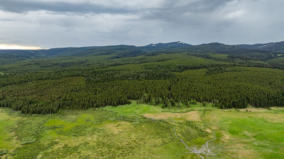 Smartwatch led rescuers to fatal plane crash in Montana woods