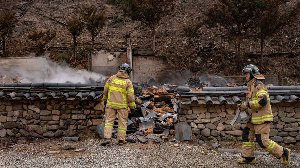 Man caring for ancestors' grave may have ignited huge South Korea wildfire, police say