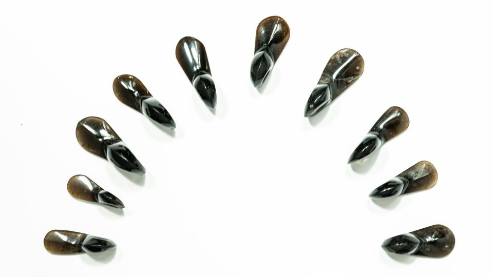 Hundreds of obsidian artifacts show how the Aztec Empire evolved
