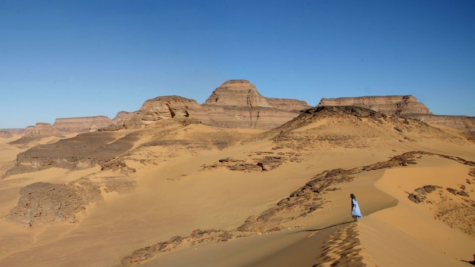 Ancient DNA pulls back curtain on the Sahara Desert's greener past
