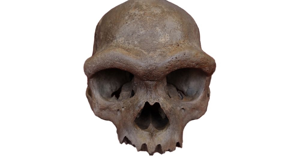 ‘Dragon Man' DNA revelation puts a face to a mysterious group of ancient humans