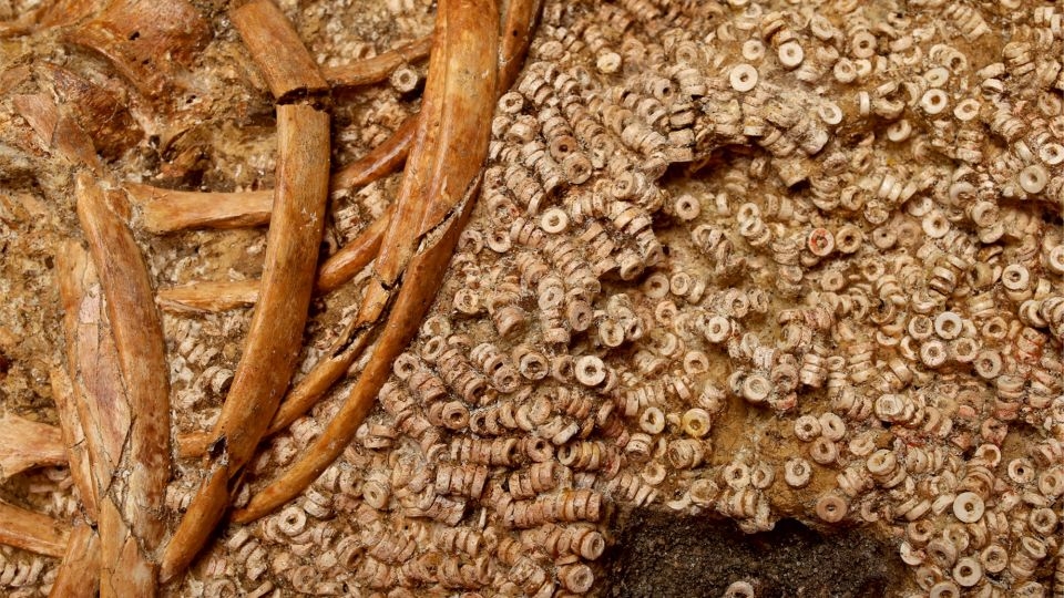 Elaborate burial site of ‘The Ivory Lady' and her descendants contains more than 270,000 shell beads
