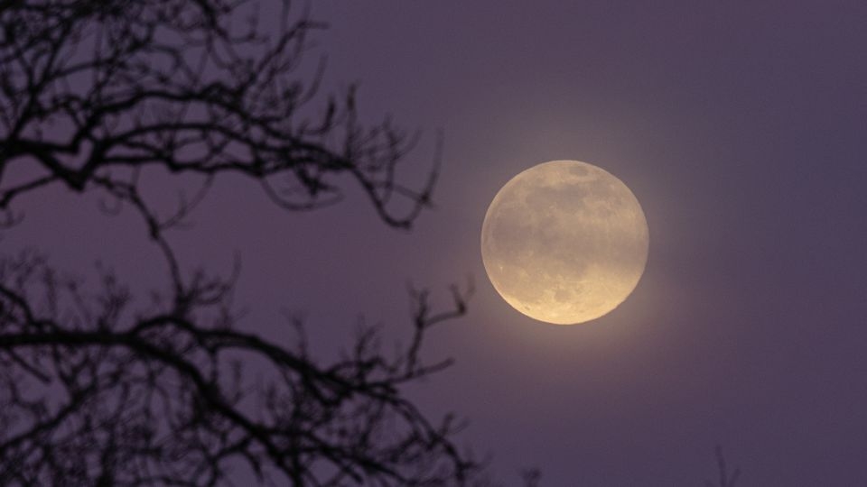 April's full pink moon will look smaller than usual — here's why