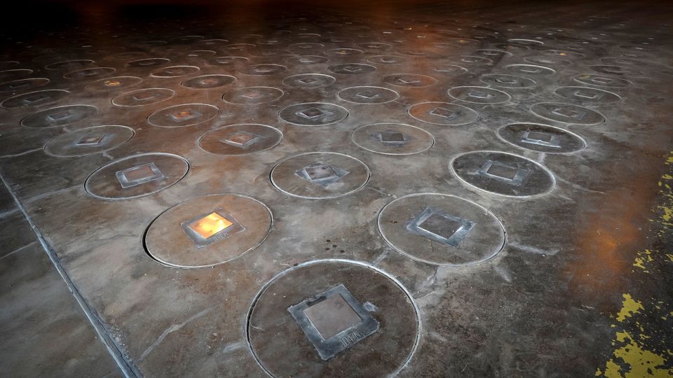 Radioactive wasp nest found at site where US once made nuclear bombs