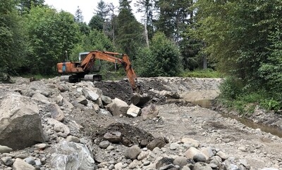 Property owner fined $60,000 for destroying vital fish habitat on Vancouver Island, B.C.