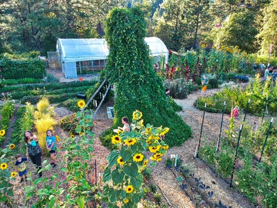 Nature's Path Organic Foods Announces Its 2025 Gardens for Good: Plant it Forward™ Winners
