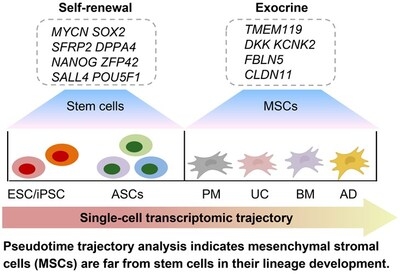 The debate on MSCs is over; it's time to promote MSC therapy in practice