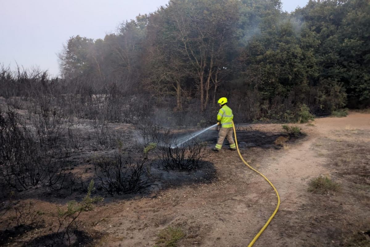 Pictures show scene at Middlewick Ranges as 25 firefighters work to put out blaze