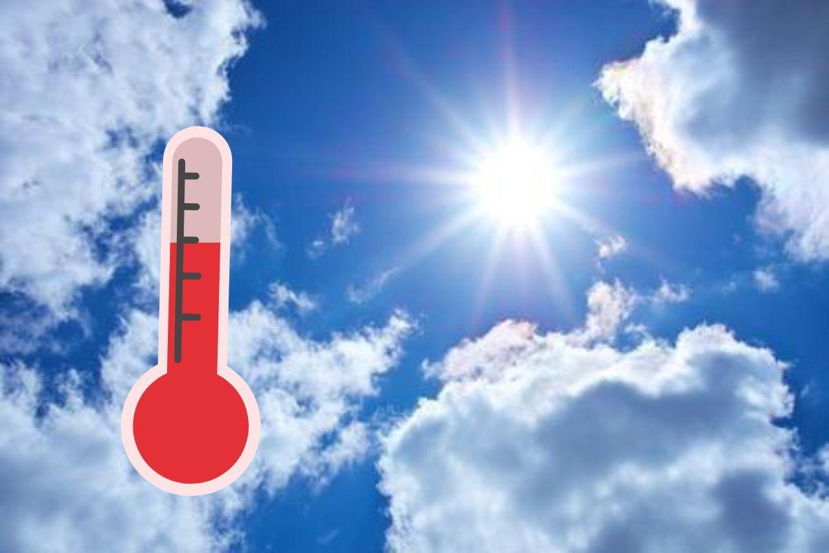 Temperatures in Colchester expected to reach above 20C next week