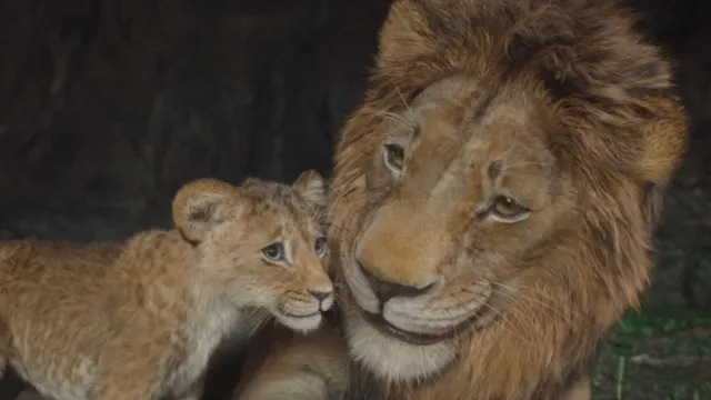 Mufasa's Box Office Joins Wicked, Dune 2 & 4 Others With New Milestone