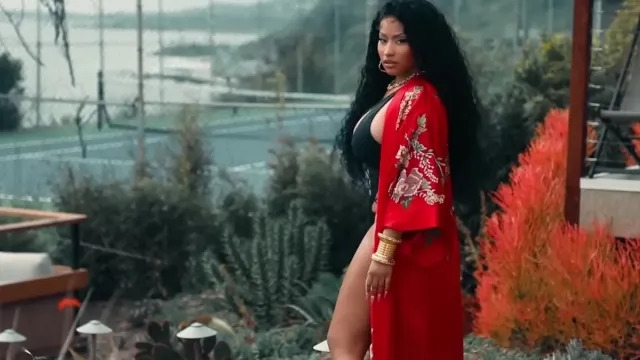 What Is Nicki Minaj Stiletto Challenge? Explained