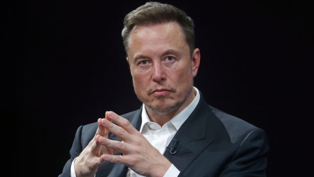 Elon Musk Is Compared to a Dictator in Luca Guadagnino's New Movie