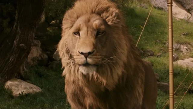 Greta Gerwig's Narnia Movie Gets Promising Filming Update After Delays