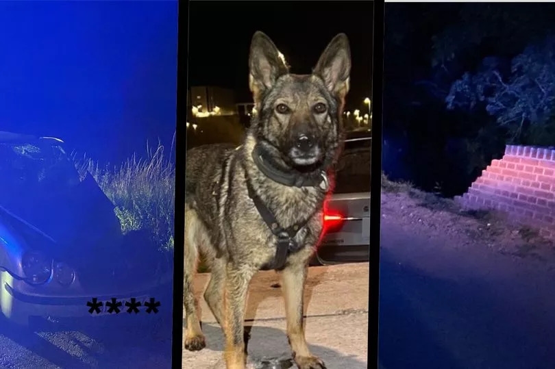 Police dog snags drink and drug driver who fled after crashing into bridge