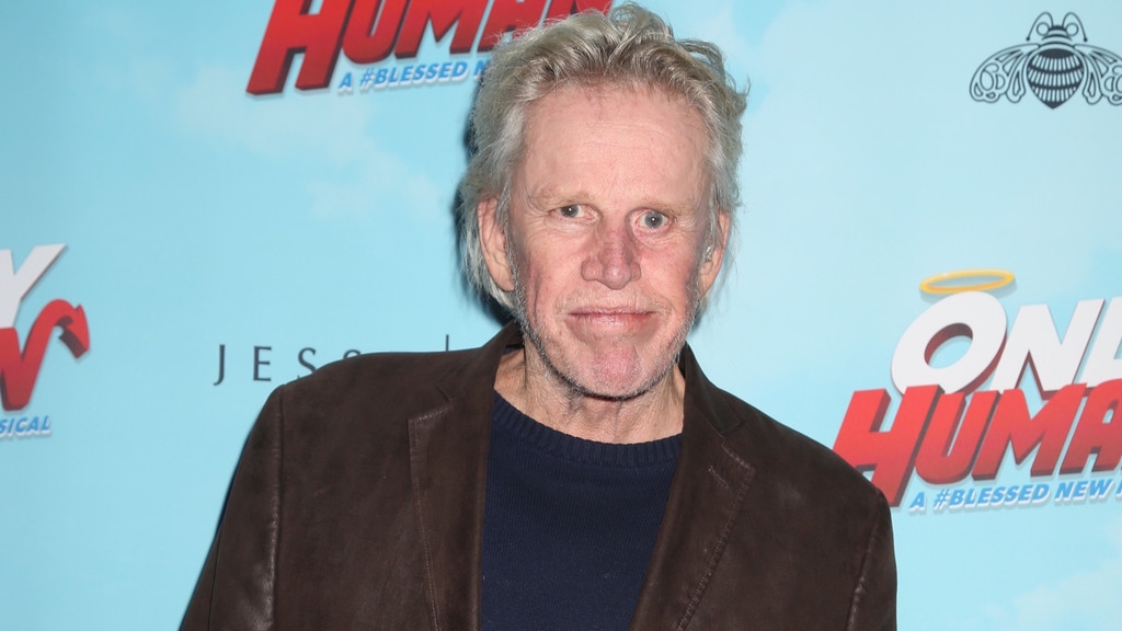 Actor Gary Busey pleads guilty to sex crime
