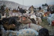 AP PHOTOS: Afghans mark Eid al-Adha on its fourth year since the return of the Taliban