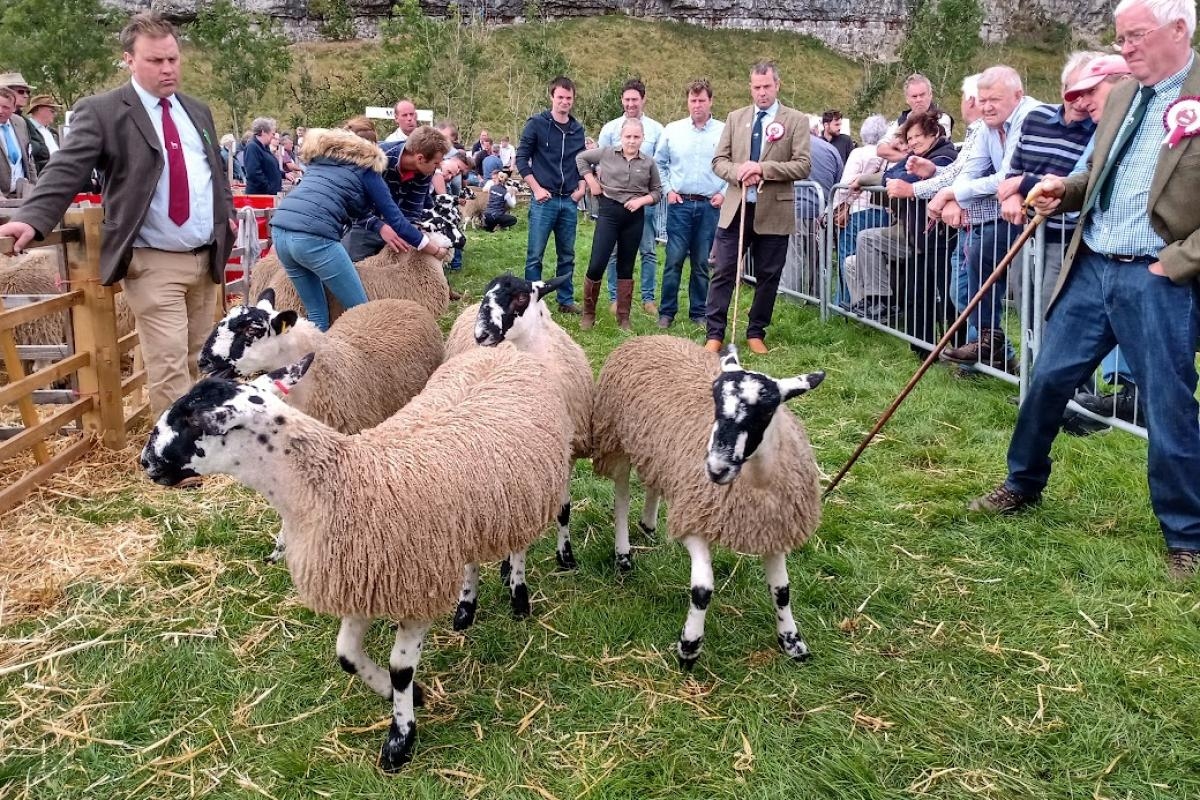 Organisers look forward to a bumper Kilnsey Show and Sports