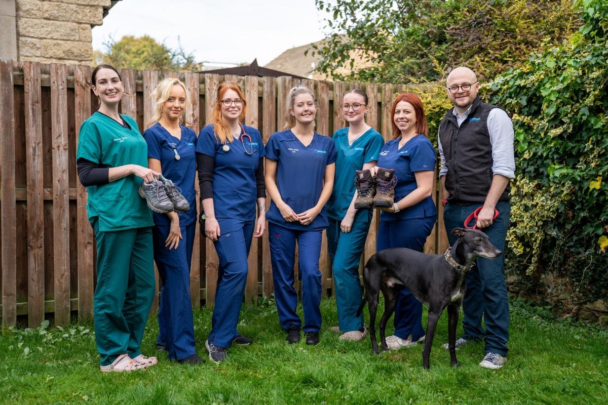 Vet practice team takes on gruelling challenge to raise money for charity