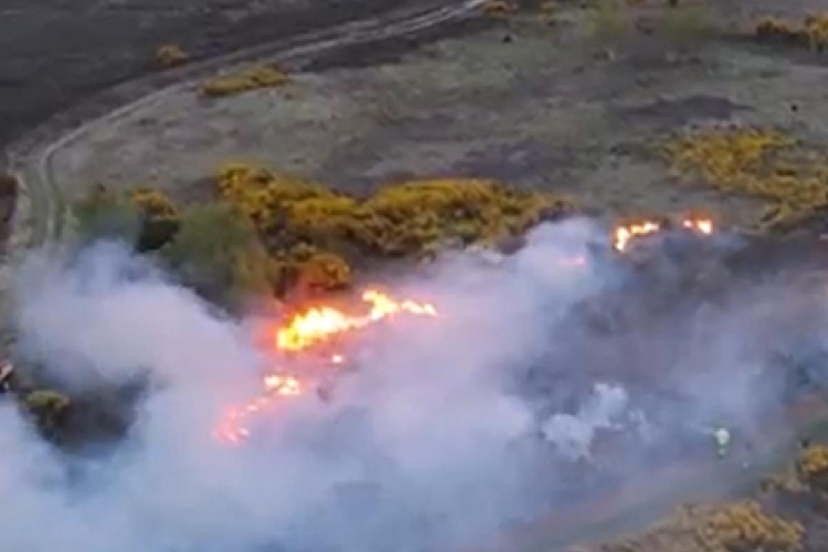Fire service 'not investigating' large gorse blaze