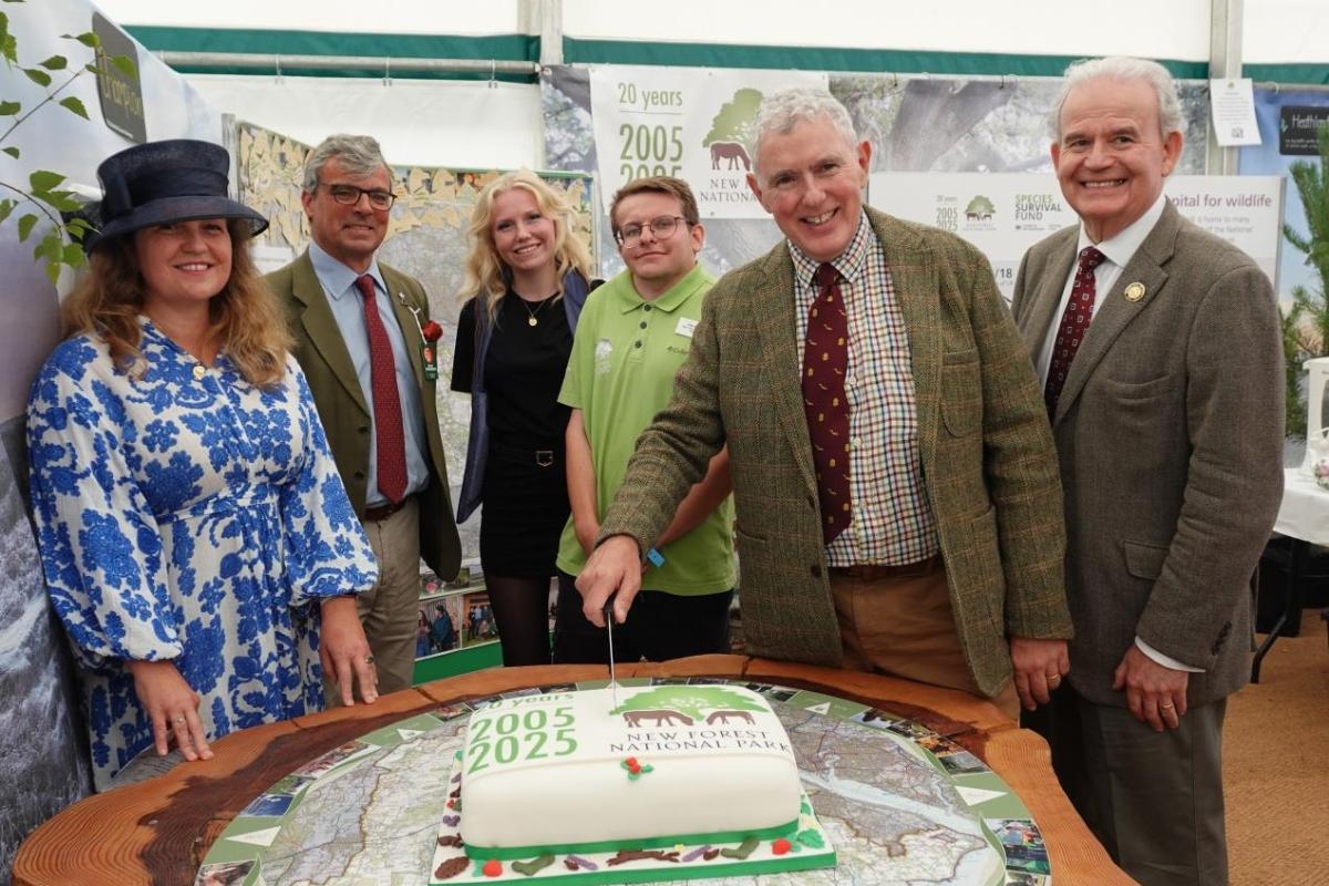 Chairman warns of challenges ahead for New Forest National Park