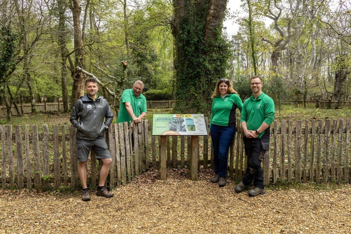 Accessible trail opens at site of famous New Forest tree