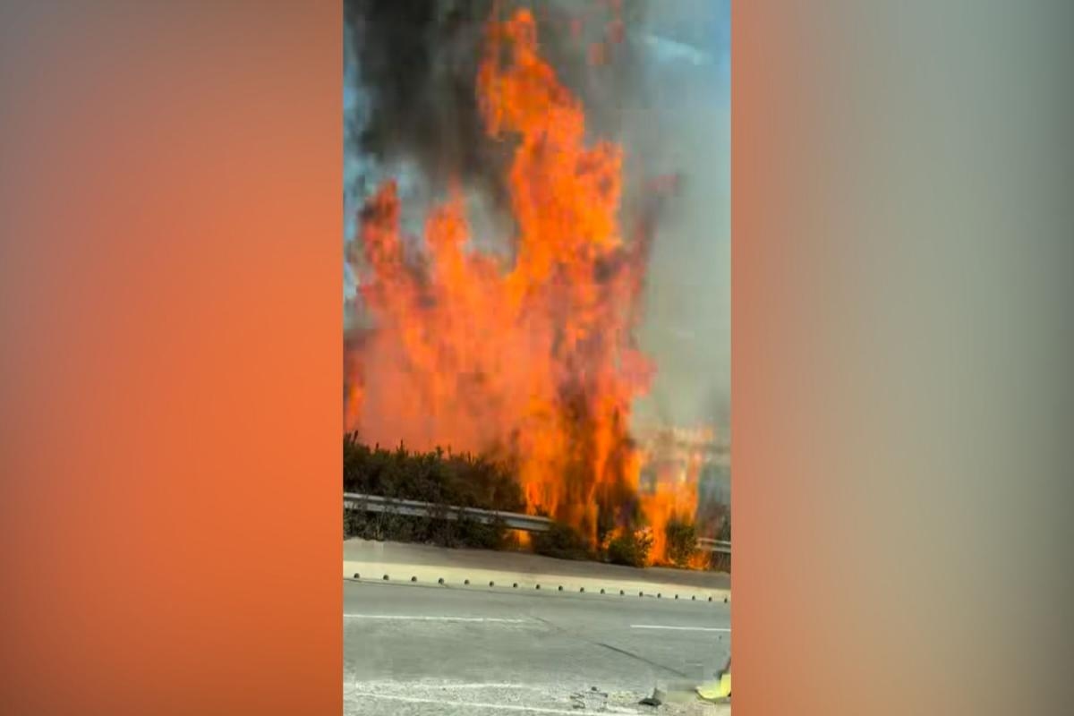 Watch dramatic moment that '20 foot' flames rip through motorway bush