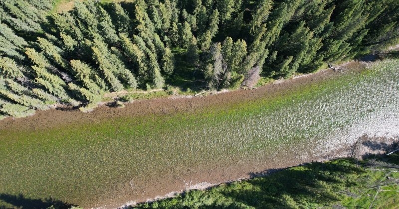 The Gallatin River is crying, ‘Mayday, mayday, mayday!'