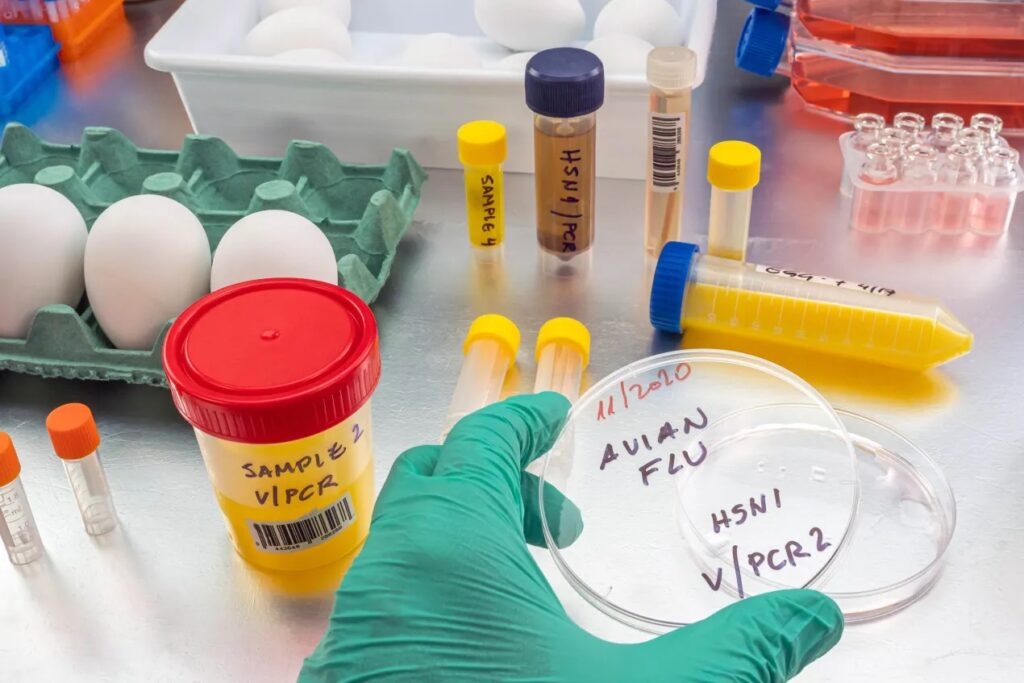 RFK Jr.'s NIH slashed science funding across states that backed Trump