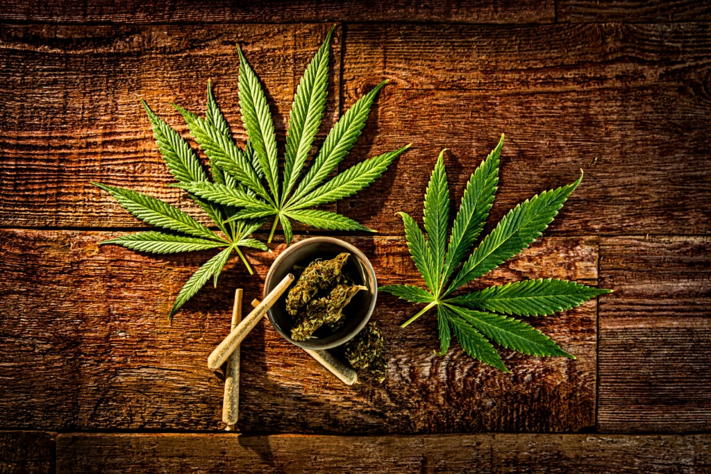 Marijuana revenue bill asks lawmakers to choose drug prevention or conservation and recreation