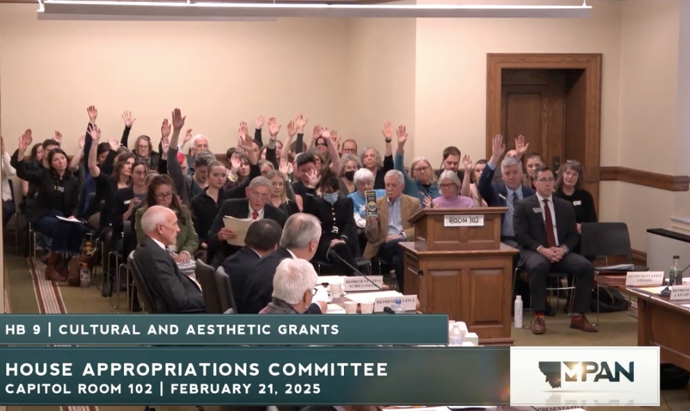 Appropriations committee considers axing funding for some arts and cultural organizations