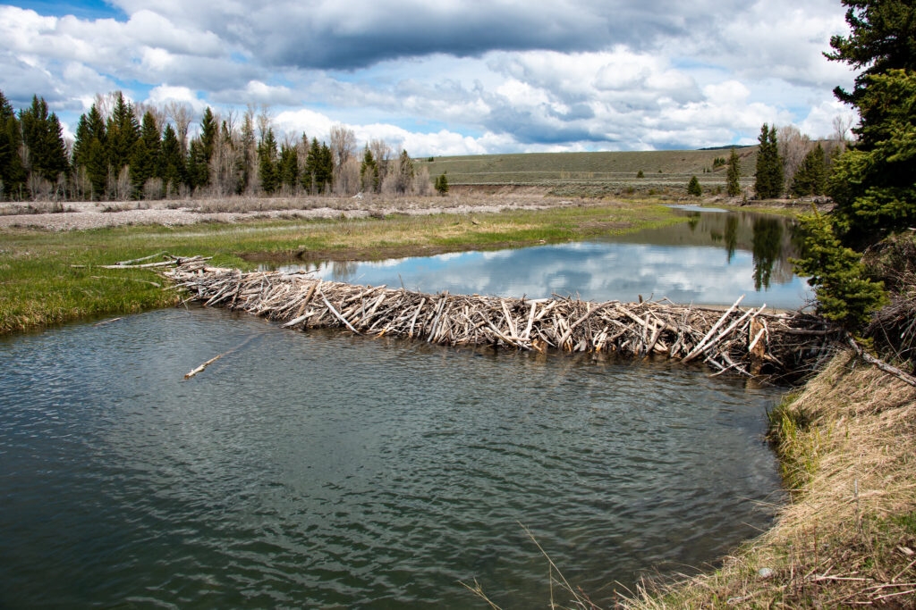 Montana faces opportunities, challenges, for energy transition