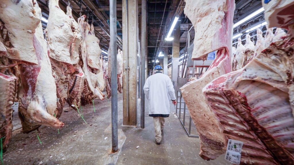 Class action lawsuit touching Montana beef industry sees $83 million settlement from JBS Foods